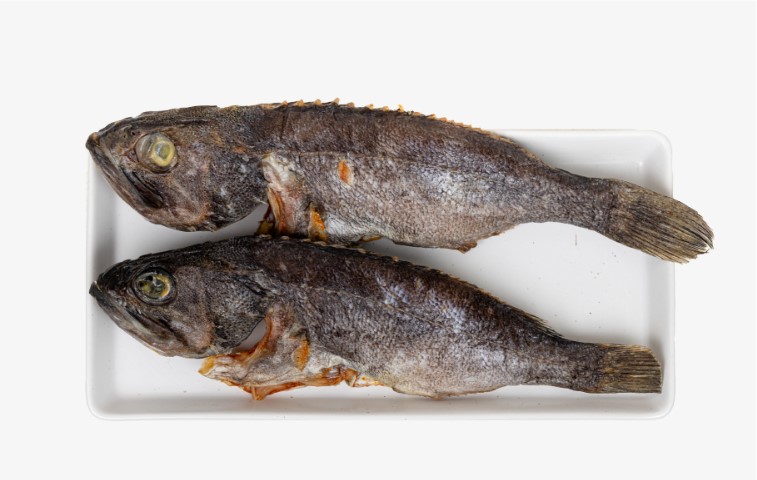 우럭1마리(300g이상)