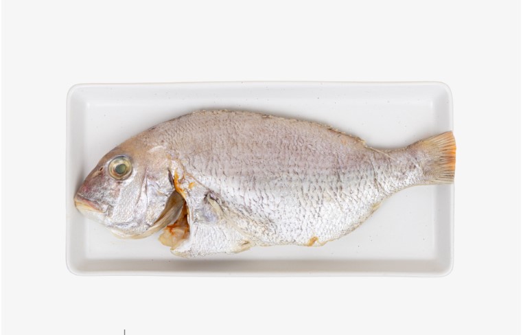 감성돔1마리(300g이상)