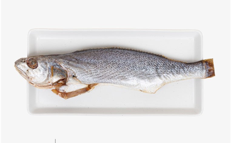 조기(부세)1마리(300g이상)