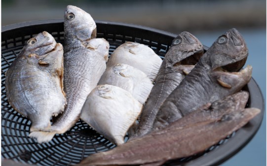 혜준수산 이미지 3